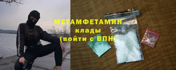 крисы Баксан