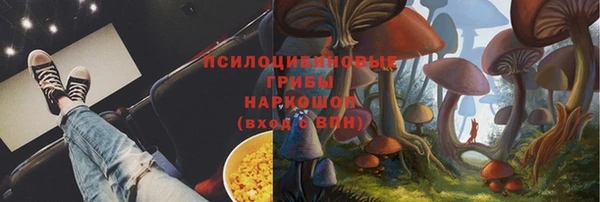 мяу мяу мука Михайловск