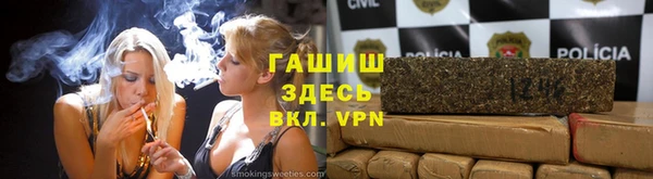 крисы Баксан