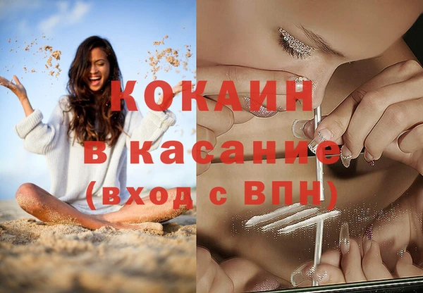 шишки Михайловка