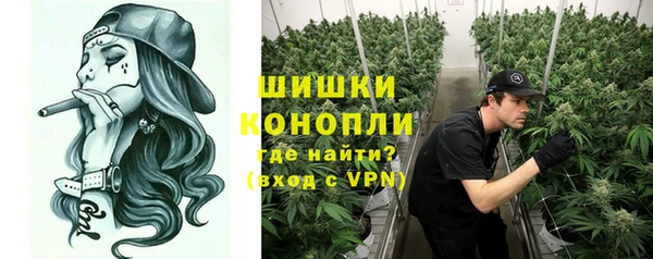 крисы Баксан