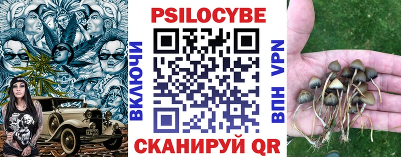 где найти наркотики omg как войти Галлюциногенные грибы Psilocybe Волосово