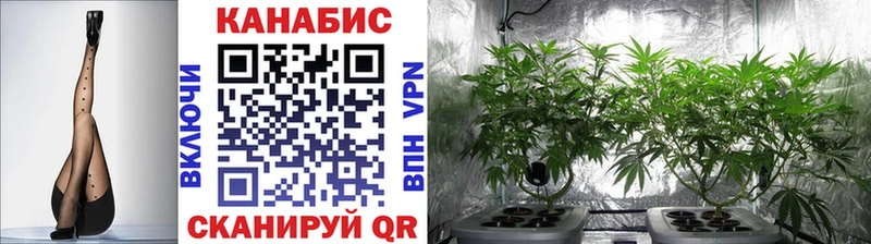 Конопля ГИДРОПОН  Волосово 